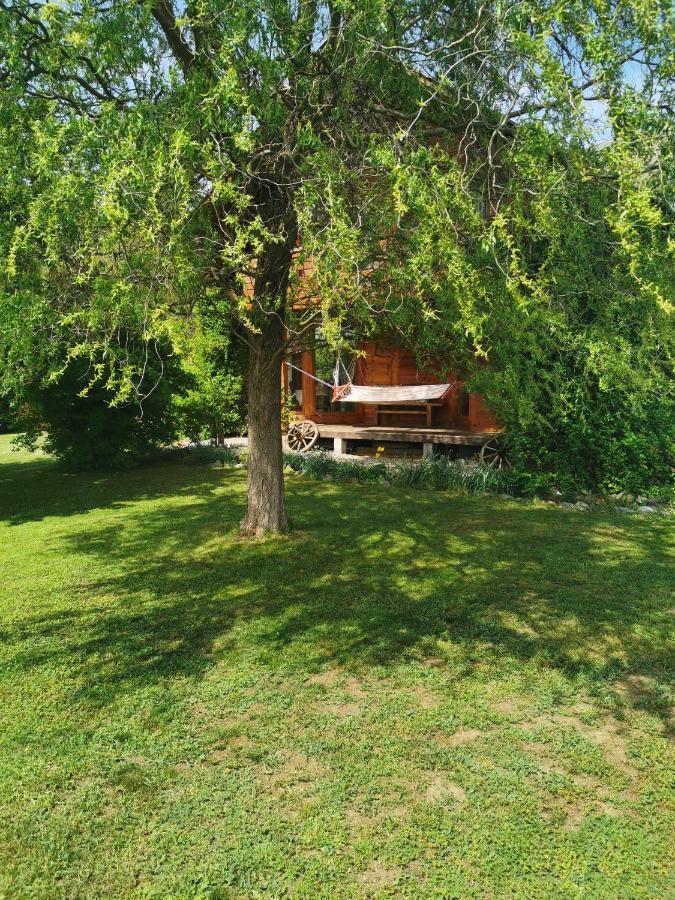 Villa The Wooden House Moldoveneşti Exterior foto