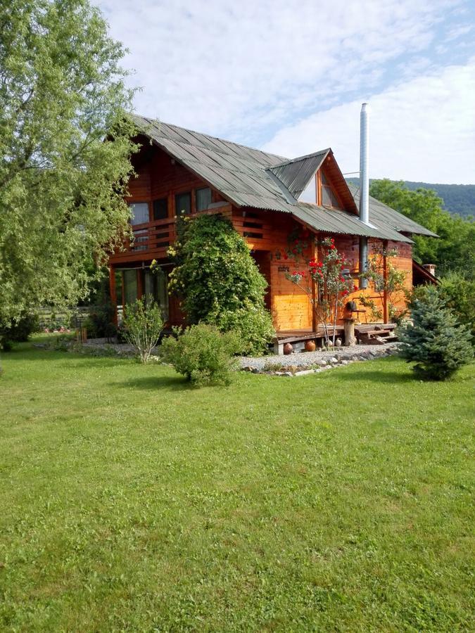 Villa The Wooden House Moldoveneşti Exterior foto