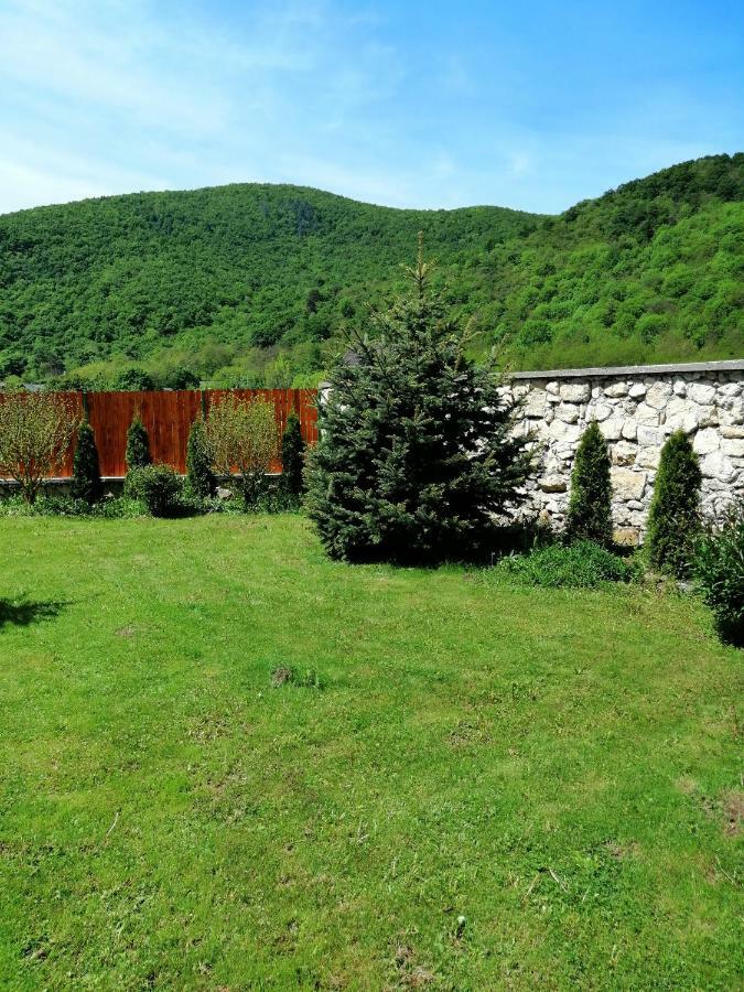 Villa The Wooden House Moldoveneşti Exterior foto