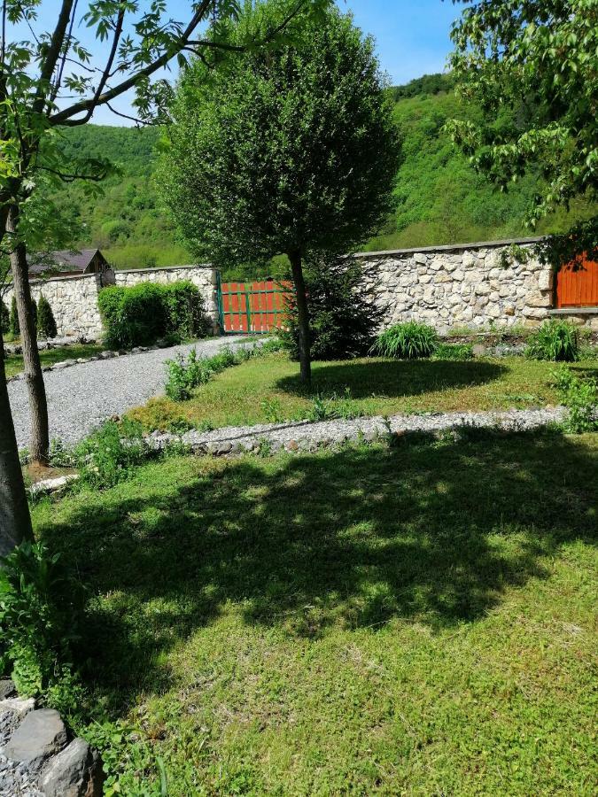 Villa The Wooden House Moldoveneşti Exterior foto