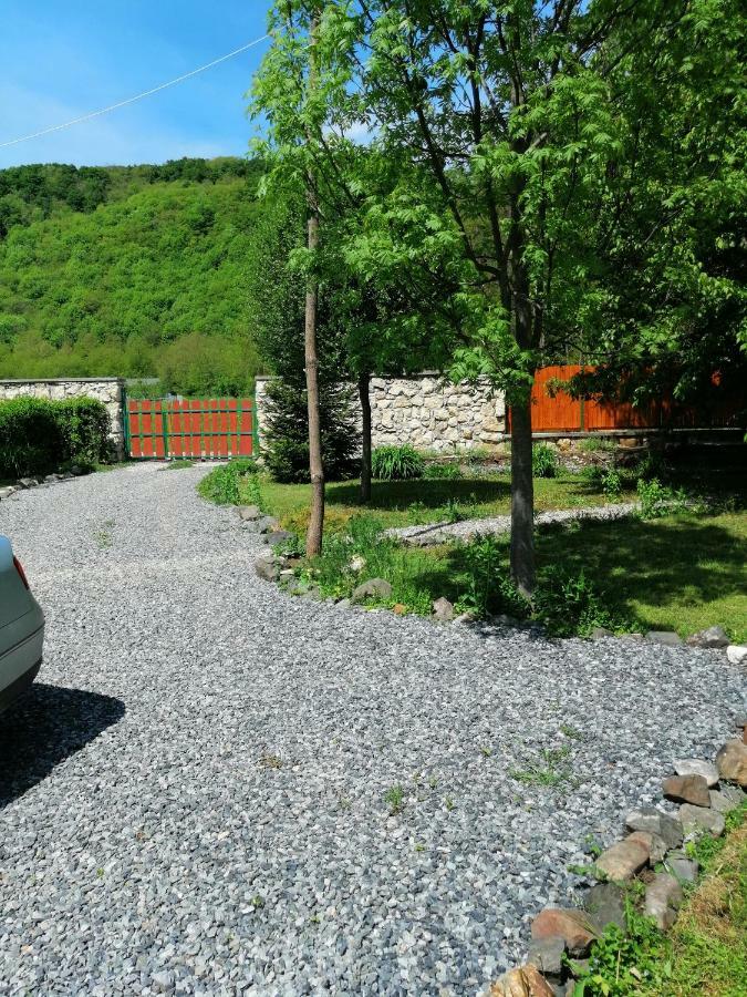 Villa The Wooden House Moldoveneşti Exterior foto